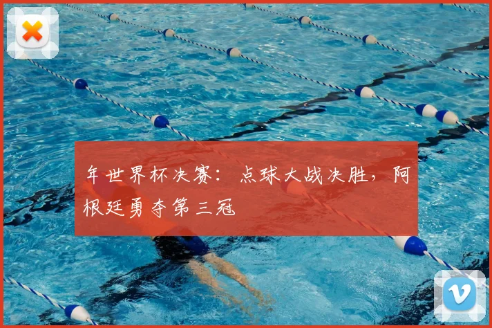 年世界杯决赛:点球大战决胜,阿根廷勇夺第三冠
